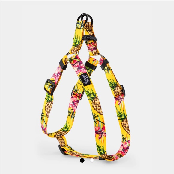 Leeds dog supply harness and matching leash